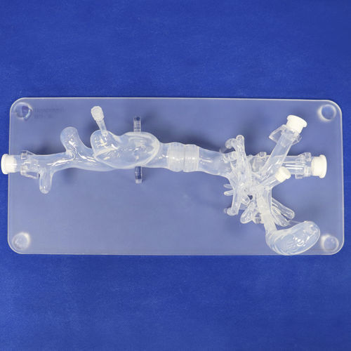 Modelo anatómico abdominal - FBD022 - Trando 3D Medical Technology - para cirugía mínimamente invasiva / de formación / transparente