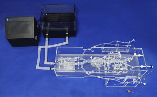 modelo anatómico intracraneal - Trando 3D Medical Technology