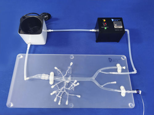 Modelo anatómico de arteria - FBD018 - Trando 3D Medical Technology - abdominal / para cirugía mínimamente invasiva / de formación