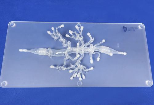 Modelo anatómico de arteria - FBD019 - Trando 3D Medical Technology - abdominal / para cirugía mínimamente invasiva / de formación