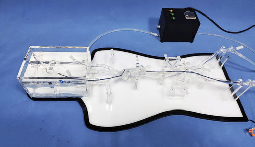 Modelo anatómico de cuerpo entero - NMVS-EDU021 - Trando 3D Medical Technology - para cirugía mínimamente invasiva / para neurología / de formación
