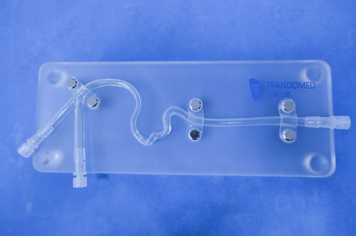 Modelo anatómico de arteria carótida - SJJ003D - Trando 3D Medical Technology - de formación / de trombectomía / de estenosis