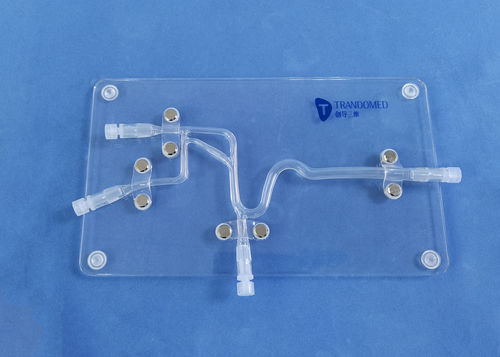 Modelo vascular de vasos sanguíneos - SJJ007D - Trando 3D Medical Technology - cerebral / intracraneal / de neurocirugía