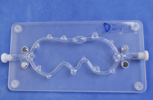 Modelo anatómico de arteria - SJX006 - Trando 3D Medical Technology - de vasos sanguíneos / de formación / con aneurisma