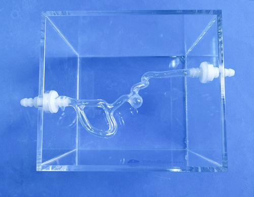 Modelo anatómico de arteria carótida - Trando 3D Medical Technology - de vasos sanguíneos / de neurocirugía / de formación