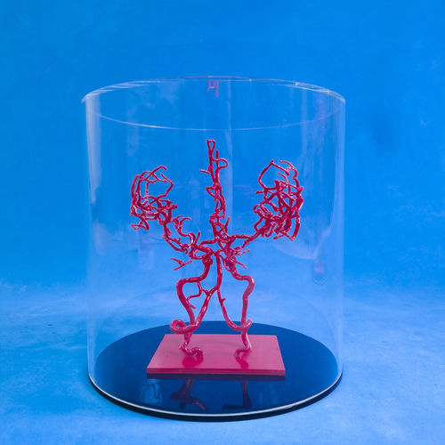 Modelo vascular cerebral - YZ002 - Trando 3D Medical Technology - de formación / transparente / flexible