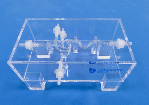 Modelo vascular de vasos sanguíneos - SDL006 - Trando 3D Medical Technology - cerebral / intracraneal / para cirugía vascular