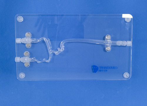 Modelo vascular de vasos sanguíneos - JYX001-3 - Trando 3D Medical Technology - cerebral / intracraneal / de neurocirugía