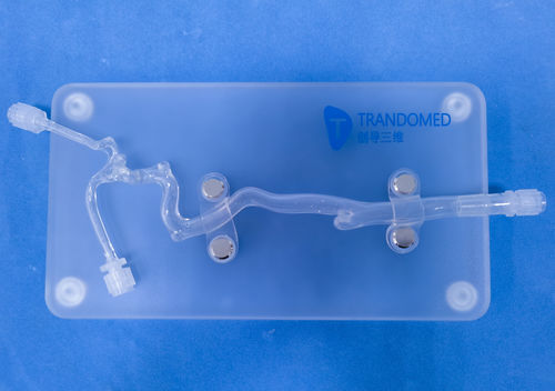 Modelo vascular de vasos sanguíneos - JYX001-5 - Trando 3D Medical Technology - cerebral / intracraneal / para cirugía vascular