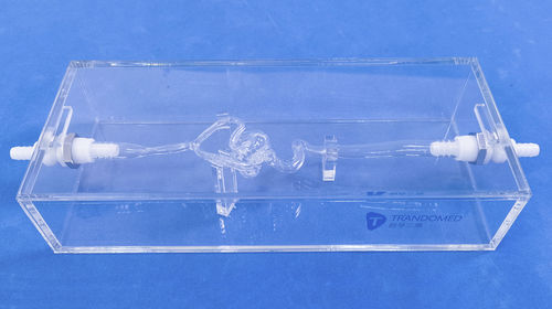 Modelo vascular de vasos sanguíneos - SJK003D - Trando 3D Medical Technology - intracraneal / de formación / transparente
