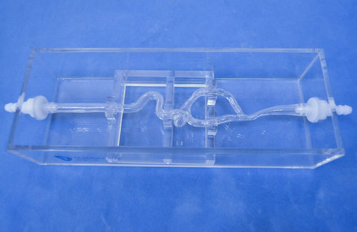 Modelo vascular de arteria - SJK004D - Trando 3D Medical Technology - de vasos sanguíneos / de formación / transparente