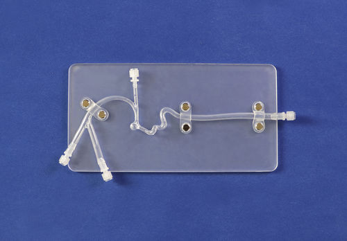 Modelo vascular de vasos sanguíneos - Trando 3D Medical Technology - cerebral / intracraneal / de neurocirugía