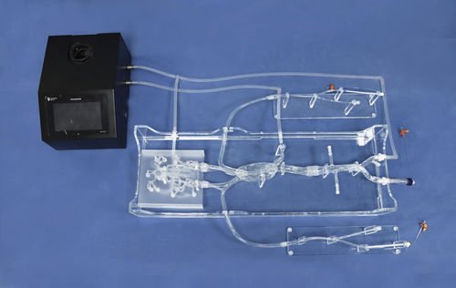 modelo anatómico intracraneal - Trando 3D Medical Technology