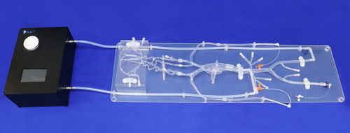 modelo vascular para neurología - Trando 3D Medical Technology