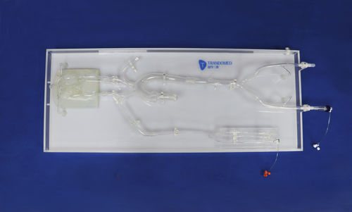 modelo vascular intracraneal - Trando 3D Medical Technology