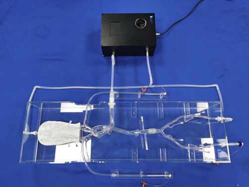 Modelo vascular para neurología - SJX013 - Trando 3D Medical Technology - intracraneal / de vasos sanguíneos / para cirugía mínimamente invasiva