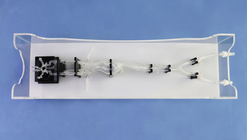 Modelo vascular para neurología - SJX014 - Trando 3D Medical Technology - intracraneal / de vasos sanguíneos / de arteria femoral