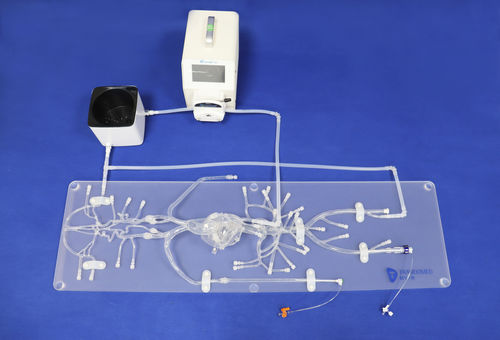 modelo vascular de angiografía - Trando 3D Medical Technology