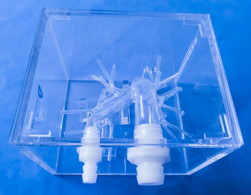 modelo anatómico de arteria - Trando 3D Medical Technology
