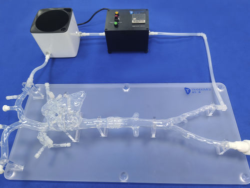 Modelo vascular de vasos sanguíneos - PA001-6 - Trando 3D Medical Technology - de arteria / para cirugía mínimamente invasiva / de formación