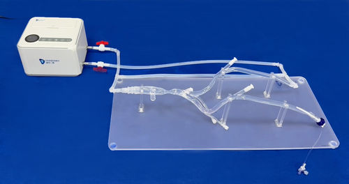 Modelo anatómico miembros inferiores - XZJ004 - Trando 3D Medical Technology - de vasos sanguíneos / para cirugía vascular / de formación