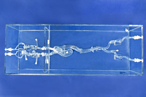 Modelo vascular intracraneal - SJX006-3 - Trando 3D Medical Technology - de vasos sanguíneos / para cirugía mínimamente invasiva / de formación