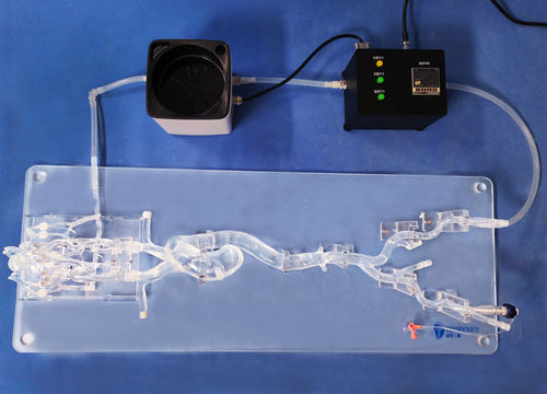 Modelo vascular de vasos sanguíneos - SJX006 - Trando 3D Medical Technology - de cuerpo entero / para cirugía mínimamente invasiva / de formación