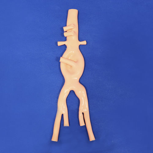 Modelo anatómico abdominal - FBD016 - Trando 3D Medical Technology - de vasos sanguíneos / de formación / para sutura