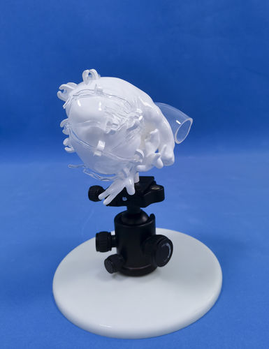 modelo anatómico de corazón - Trando 3D Medical Technology