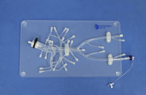 Modelo anatómico abdominal - FB003D - Trando 3D Medical Technology - de formación / transparente / con unidad de control