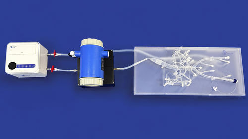 Modelo vascular de vasos sanguíneos - FBD008 - Trando 3D Medical Technology - abdominal / para cirugía vascular / de formación