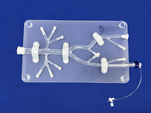 Modelo vascular de arteria femoral - FBD025 - Trando 3D Medical Technology - de vasos sanguíneos / abdominal / de formación