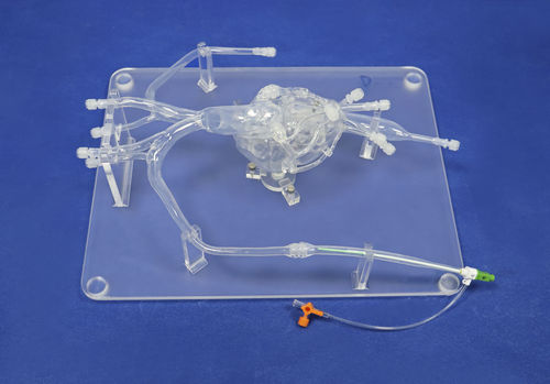 Modelo vascular de arteria femoral - XXD010 - Trando 3D Medical Technology - de arterias coronarias / aorta abdominal / arteria ilíaca