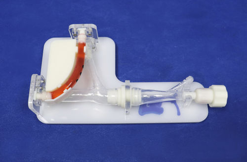 modelo vascular de vasos sanguíneos - Trando 3D Medical Technology