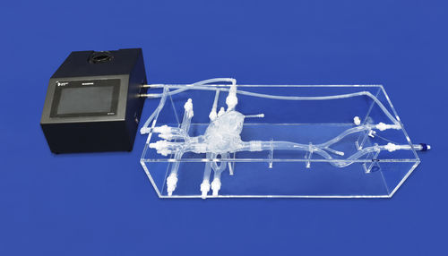 modelo anatómico de vena - Trando 3D Medical Technology