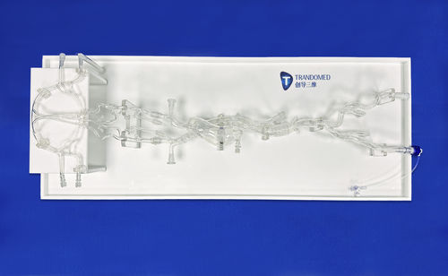 Modelo vascular de arteria - SJ001D-016 - Trando 3D Medical Technology - de vasos sanguíneos / de abdomen / de formación