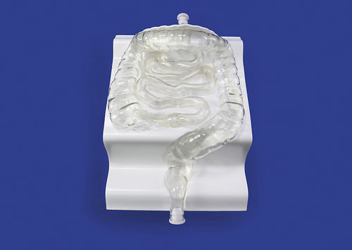 Modelo vascular de vasos sanguíneos - CM001 - Trando 3D Medical Technology - de formación / transparente / flexible