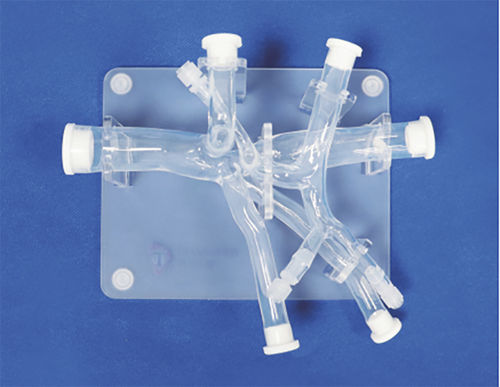 Modelo vascular abdominal - FBD021 - Trando 3D Medical Technology - de vasos sanguíneos / de formación / transparente