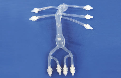 Modelo vascular abdominal - FBD027 - Trando 3D Medical Technology - de vasos sanguíneos / de formación / transparente