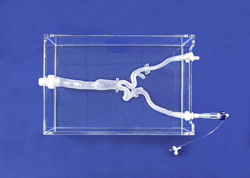 Modelo vascular de vasos sanguíneos - FBD011 - Trando 3D Medical Technology - arteria ilíaca / de formación / transparente