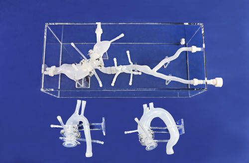 Modelo vascular de arteria femoral - FBD014 - Trando 3D Medical Technology - aorta abdominal / arteria ilíaca / de vasos sanguíneos