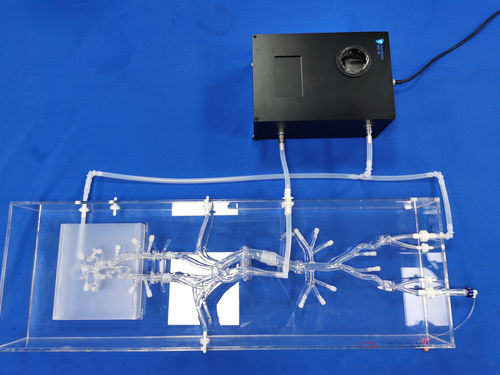 Modelo vascular intracraneal - SJX006-3 - Trando 3D Medical Technology - de vasos sanguíneos / de abdomen / para cirugía mínimamente invasiva