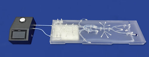 Modelo vascular del polígono de Willis - SJ001D-013 - Trando 3D Medical Technology - de nervio / intracraneal / para neurología