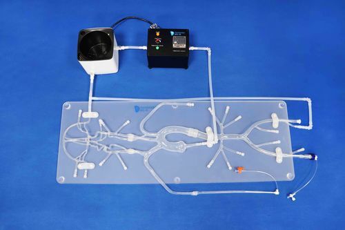 Bomba de simulación médica - EDU-mini - Trando 3D Medical Technology - pulsátil / de agua