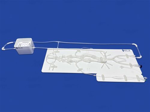 Modelo vascular intracraneal - SJ001D-E - Trando 3D Medical Technology - abdominal / de arteria femoral / de arteria cerebral
