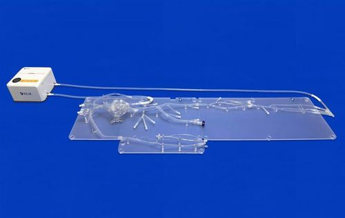 Modelo vascular de arteria - FAX011D - Trando 3D Medical Technology - de cuerpo entero / de arteria / de sistema circulatorio