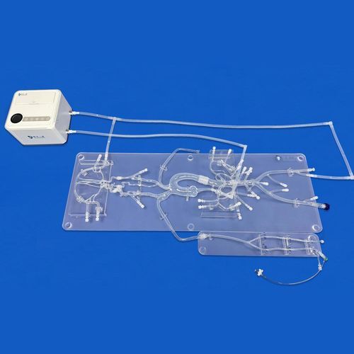 modelo anatómico de angiografía - Trando 3D Medical Technology
