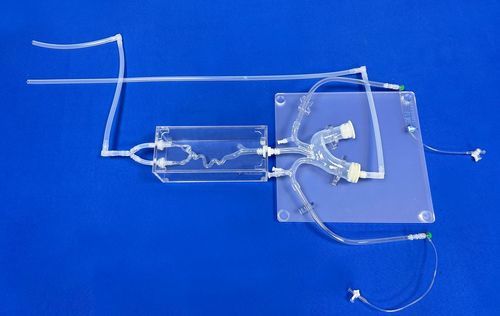 modelo vascular de vasos sanguíneos - Trando 3D Medical Technology