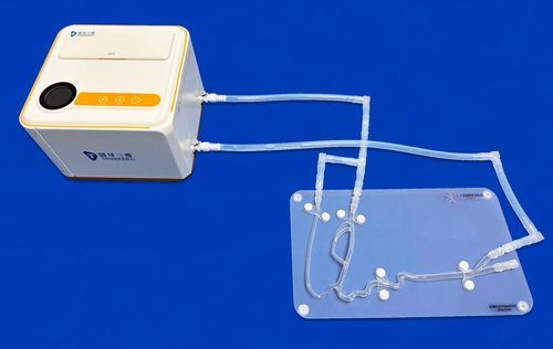 modelo anatómico intracraneal - Trando 3D Medical Technology