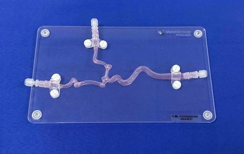 modelo anatómico de arteria carótida - Trando 3D Medical Technology